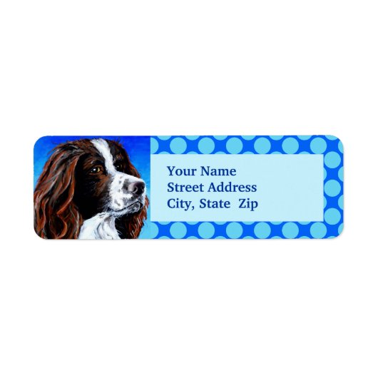 Springer Spaniel (Vorne)