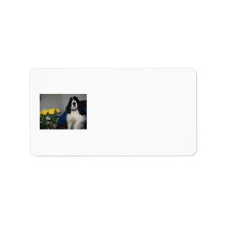 Springer Spaniel Address Labels Adressaufkleber