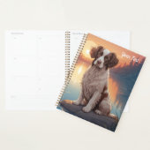 Springer Spaniel am See Planer (Anzeige)