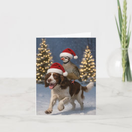Springer Spaniel and Partridge Christmas card Karte