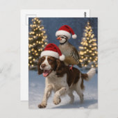 Springer Spaniel and Partridge Christmas postcard Postkarte (Vorne/Hinten)