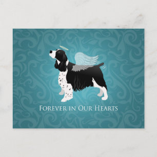 Springer Spaniel Angel Dog Pet Memorial Design Postkarte