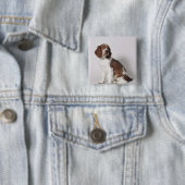 Springer Spaniel Button (Beispiel)