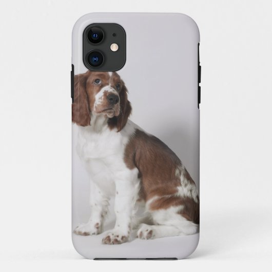 Springer Spaniel Case-Mate iPhone Hülle (Rückseite)