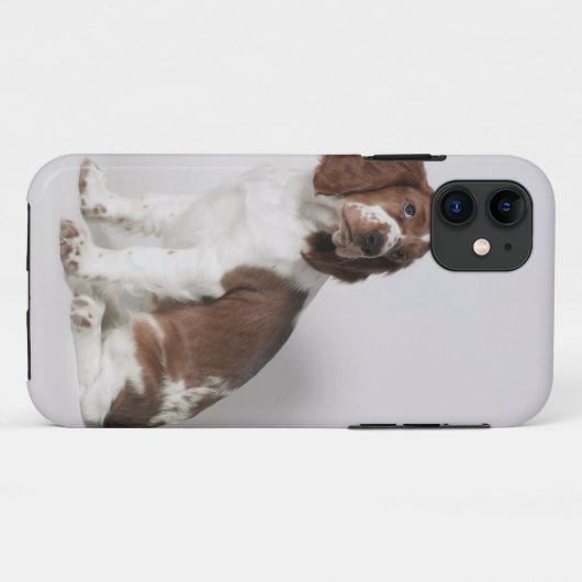 Springer Spaniel Case-Mate iPhone Hülle (Rückseite (Horizontal))
