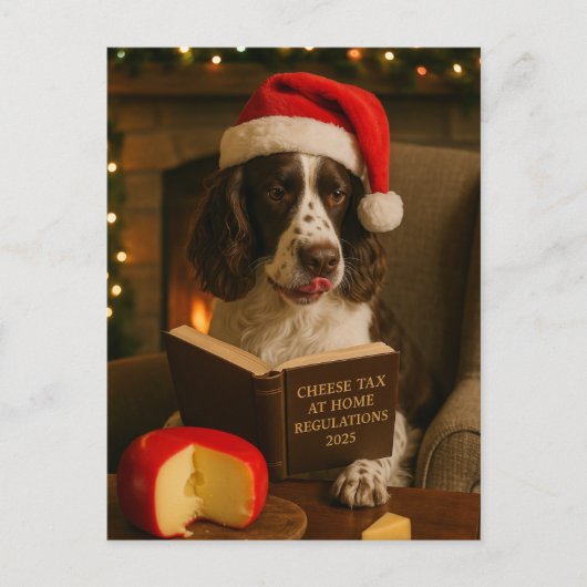 Springer Spaniel 'Cheese Tax' Christmas postcard Postkarte (Vorderseite)