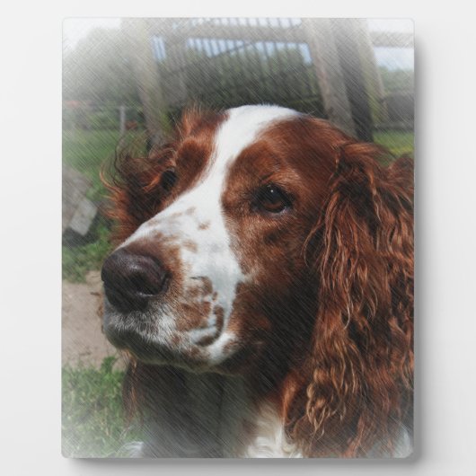 Springer Spaniel Dog Art Fotoplatte (Vorderseite)