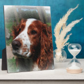 Springer Spaniel Dog Art Fotoplatte (Seite)
