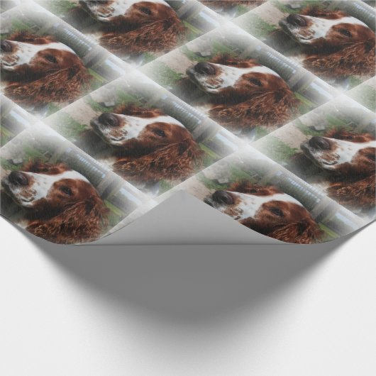 Springer Spaniel Dog Art Geschenkpapier (Ecke)