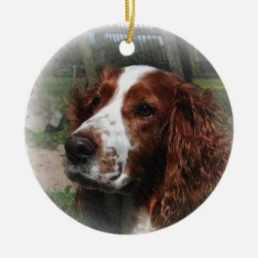 Springer Spaniel Dog Art Keramikornament (Vorne)