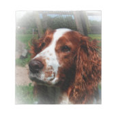 Springer Spaniel Dog Art Notizblock (Vorderseite)