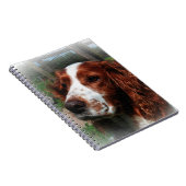 Springer Spaniel Dog Art Notizblock (Rechte Seite)