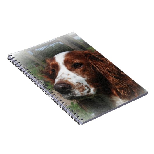 Springer Spaniel Dog Art Notizblock (Rechte Seite)