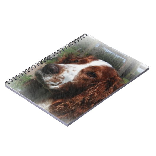 Springer Spaniel Dog Art Notizblock (Linke Seite)