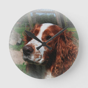 Springer Spaniel Dog Art Runde Wanduhr