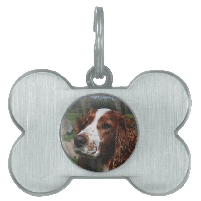 Springer Spaniel Dog Art Tiermarke (Vorderseite)