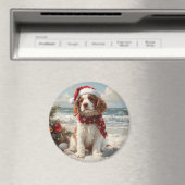 Springer Spaniel Dog Christmas Vintag Beach Magnet (In Situ (Geschirrspüler))