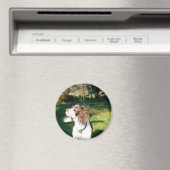 Springer Spaniel Dog Magnet (In Situ (Geschirrspüler))