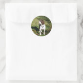 Springer Spaniel Dog Stickers (Tasche)