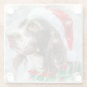 Springer Spaniel Dog Weihnachtsfest Glasuntersetzer (Rückseite)
