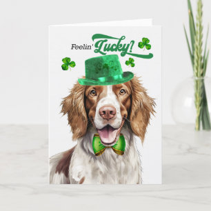 Springer Spaniel Feelin' Lucky St Patrick's Day Feiertagskarte