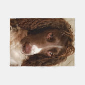 Springer Spaniel-Fleecedecke Fleecedecke (Vorderseite (Horizontal))