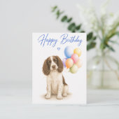 Springer Spaniel Geburtstag Postkarte (Stehend Vorderseite)