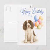 Springer Spaniel Geburtstag Postkarte (Vorne/Hinten)
