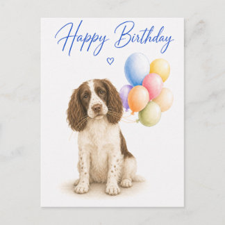 Springer Spaniel Geburtstag Postkarte