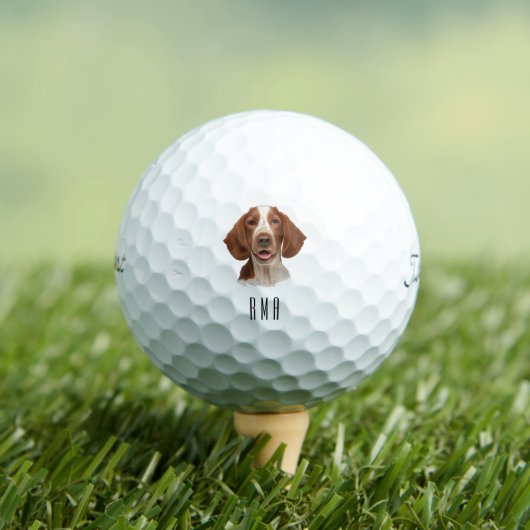 Springer Spaniel Golfball (Insitu T-Shirt)