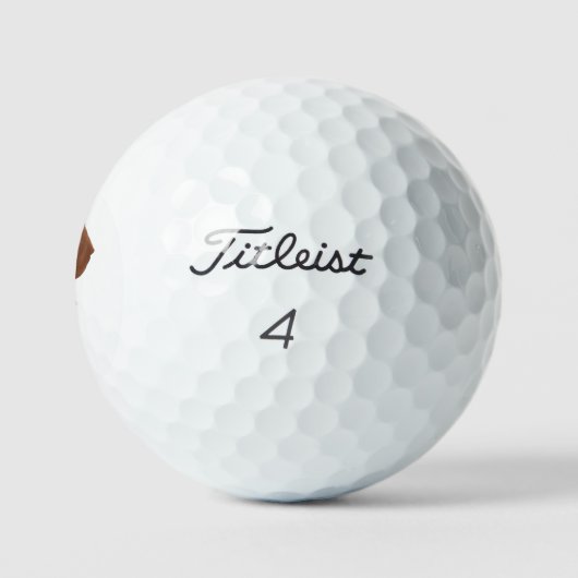 Springer Spaniel Golfball (Logo)