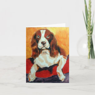 Springer Spaniel Greetings Karte