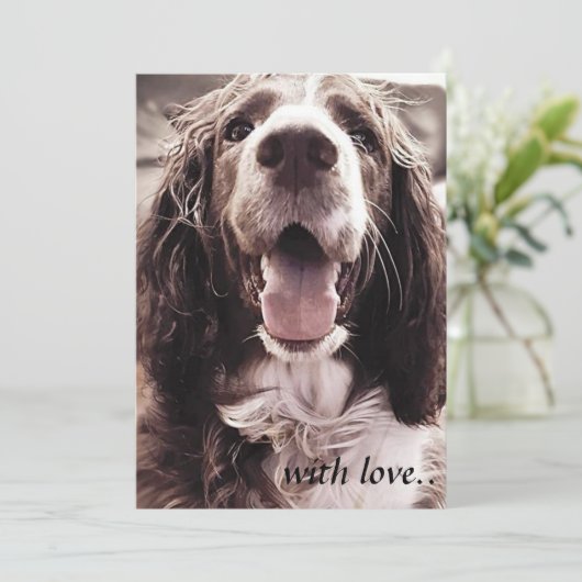 Springer Spaniel-Grußkarte Dankeskarte (Stehend Vorderseite)