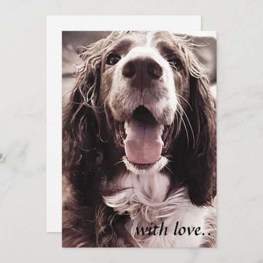 Springer Spaniel-Grußkarte Dankeskarte (Vorne/Hinten)