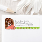 Springer Spaniel Happy Howlidays (Insitu)