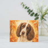 Springer Spaniel Herbstwald Hund Postkarte (Stehend Vorderseite)