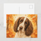 Springer Spaniel Herbstwald Hund Postkarte (Vorne/Hinten)