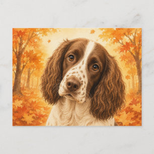 Springer Spaniel Herbstwald Hund Postkarte
