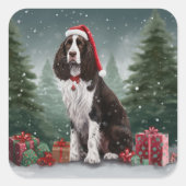 Springer Spaniel Hund in Schneeweihen Quadratischer Aufkleber (Vorderseite)