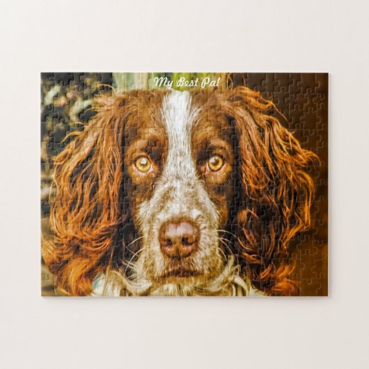 Springer Spaniel Hund Jigsaws. Puzzle (Horizontal)