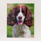 Springer Spaniel Hund Jigsaws. Puzzle (Vertikal)