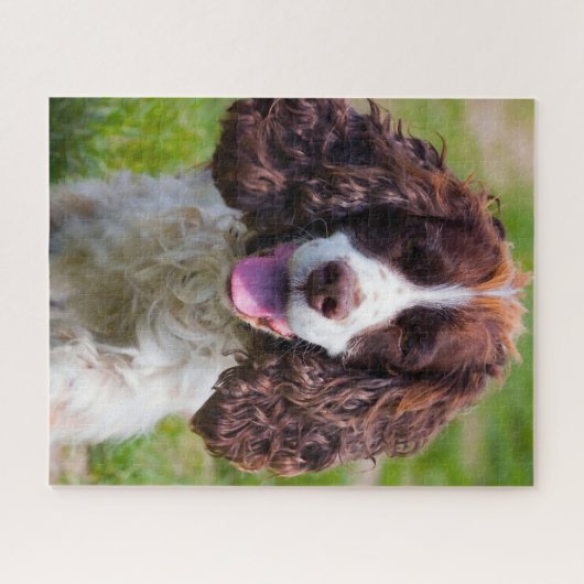 Springer Spaniel Hund Jigsaws. Puzzle (Horizontal)