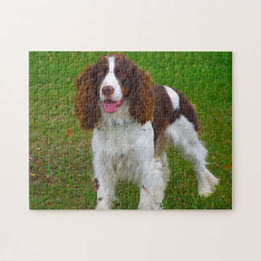 Springer Spaniel Hund Jigsaws. Puzzle (Horizontal)