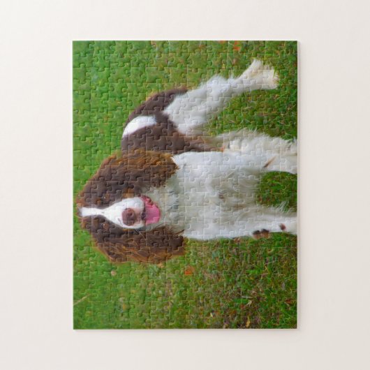 Springer Spaniel Hund Jigsaws. Puzzle (Vertikal)