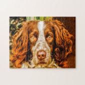 Springer Spaniel Hund Jigsaws. Puzzle (Horizontal)