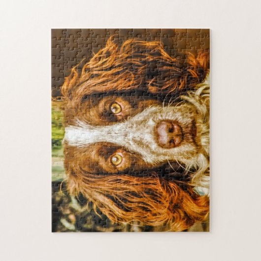 Springer Spaniel Hund Jigsaws. Puzzle (Vertikal)