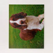 Springer Spaniel Hund Jigsaws. Puzzle (Vertikal)