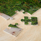 Springer Spaniel Hund Jigsaws. Puzzle (Seite)