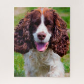 Springer Spaniel Hund Jigsaws. Puzzle (Vertikal)