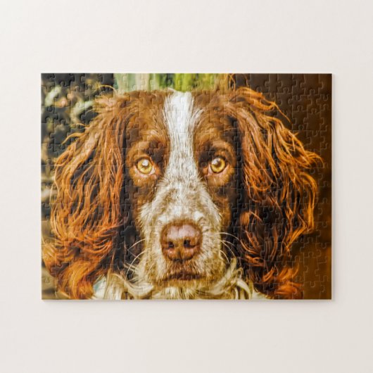 Springer Spaniel Hund Puzzles. Puzzle (Horizontal)
